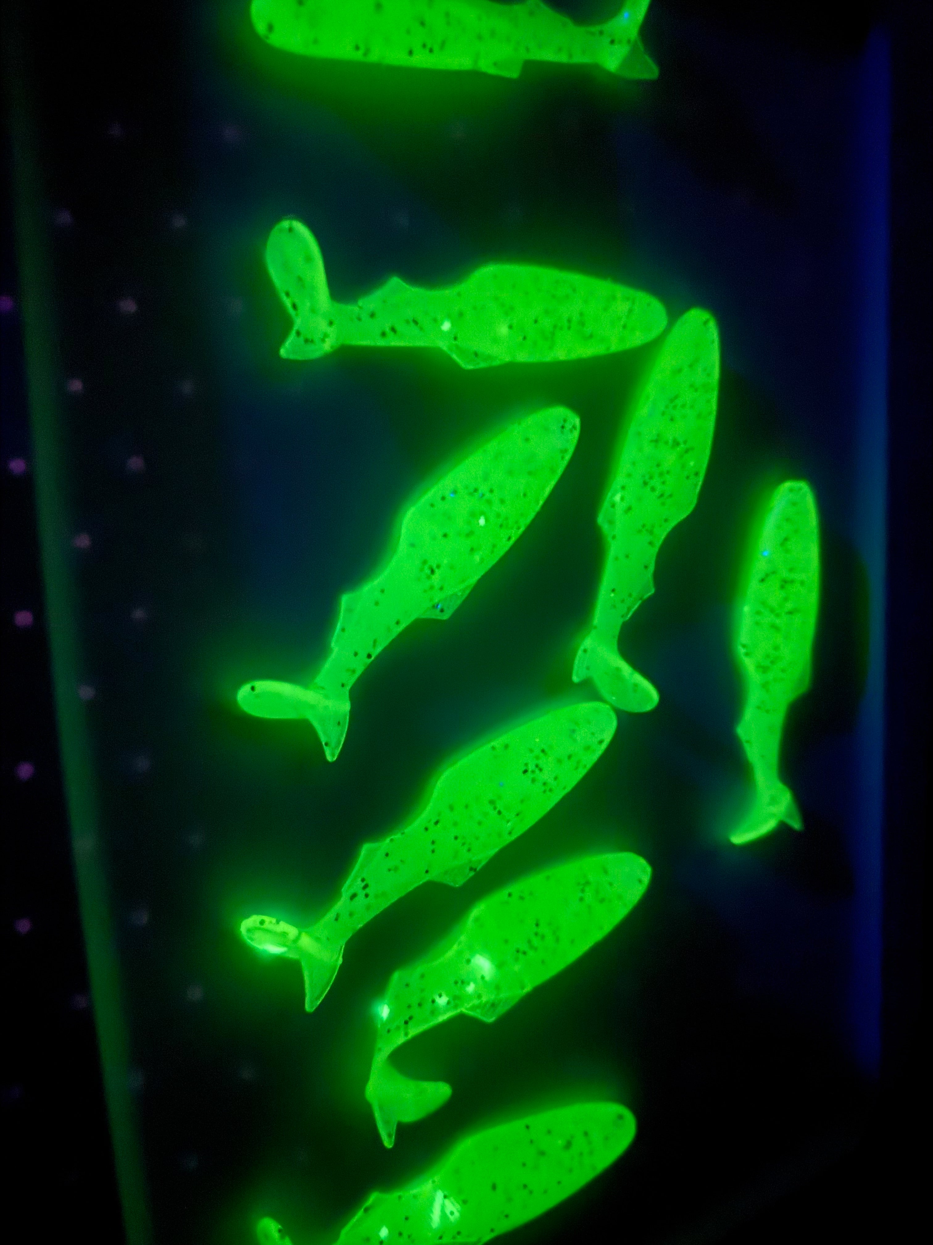 Kicker Shad