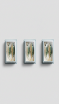 Pale Sand Perch Soft Plastics