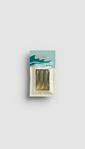 Atlantic Minnow Clear Window Lure Set