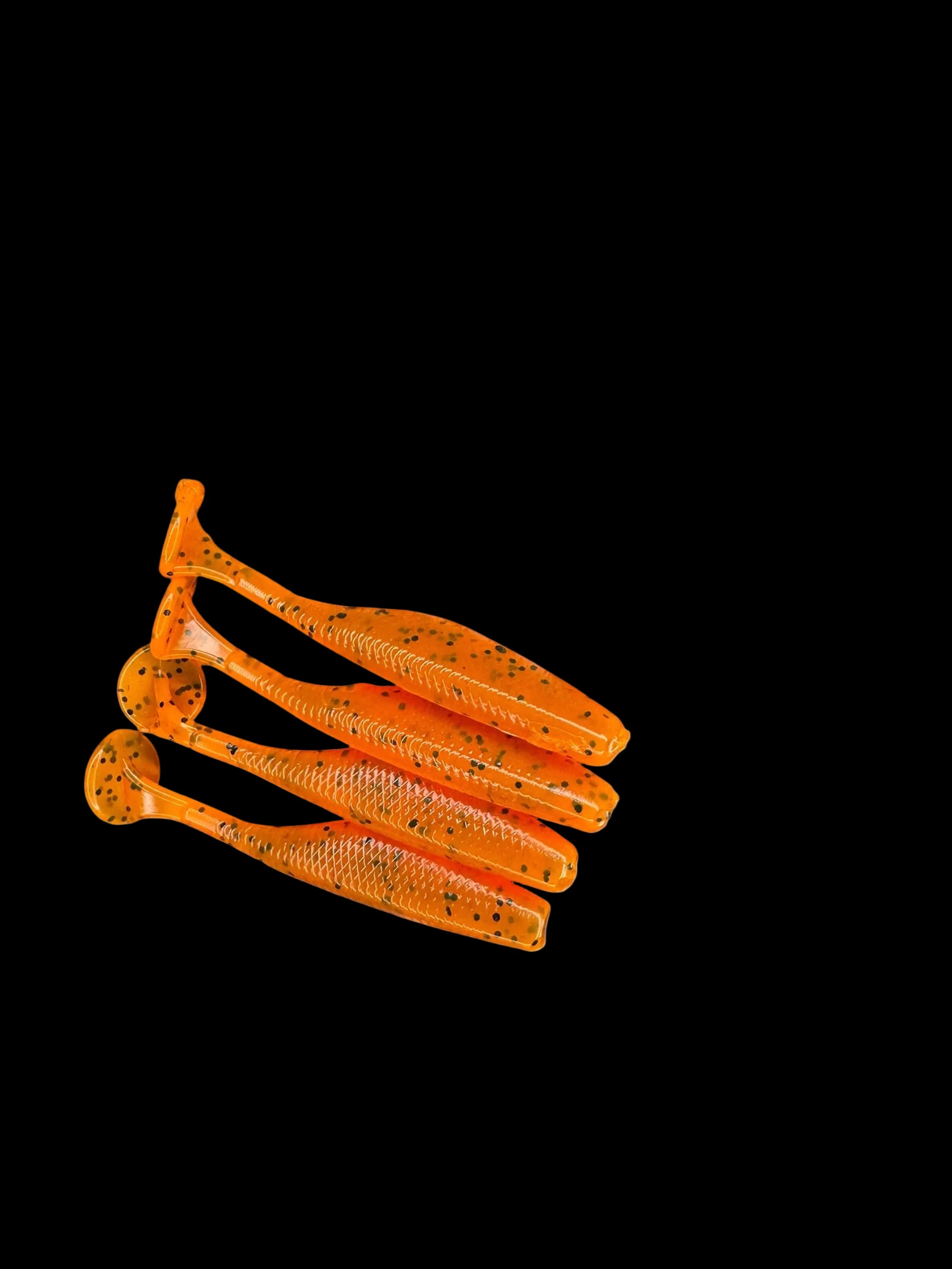 RipTail Minnow