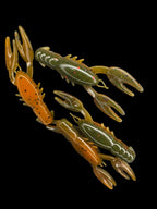 Lil Menace Craw