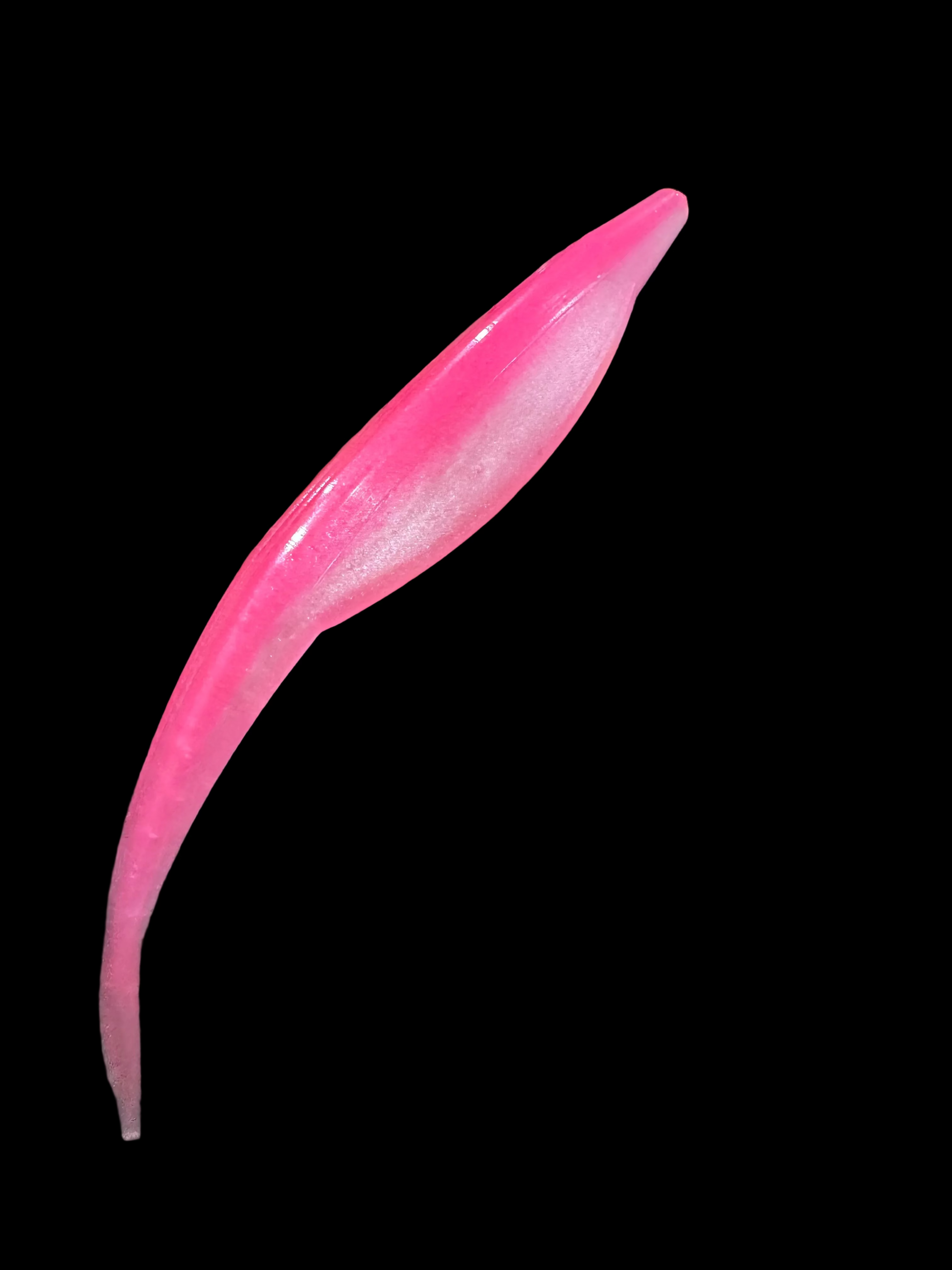 RipTail Fluke