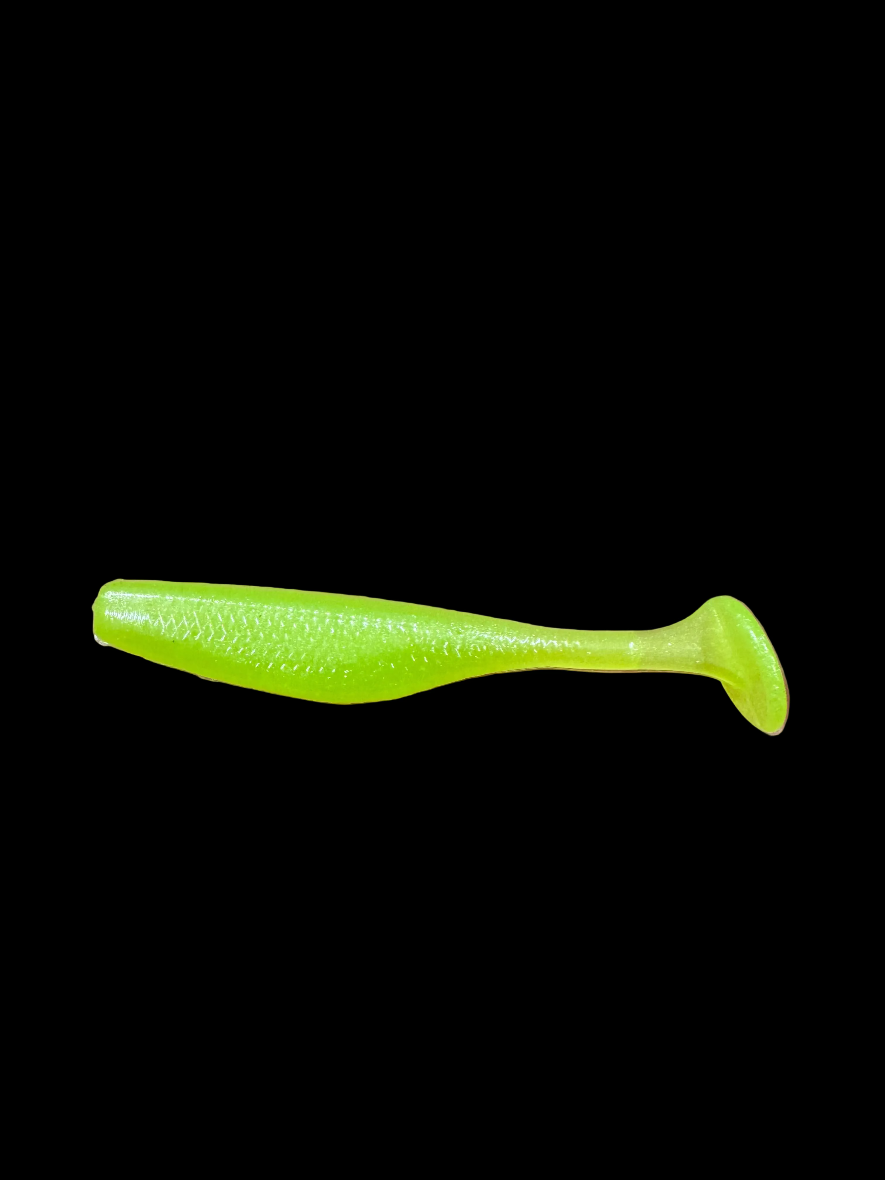 RipTail Minnow