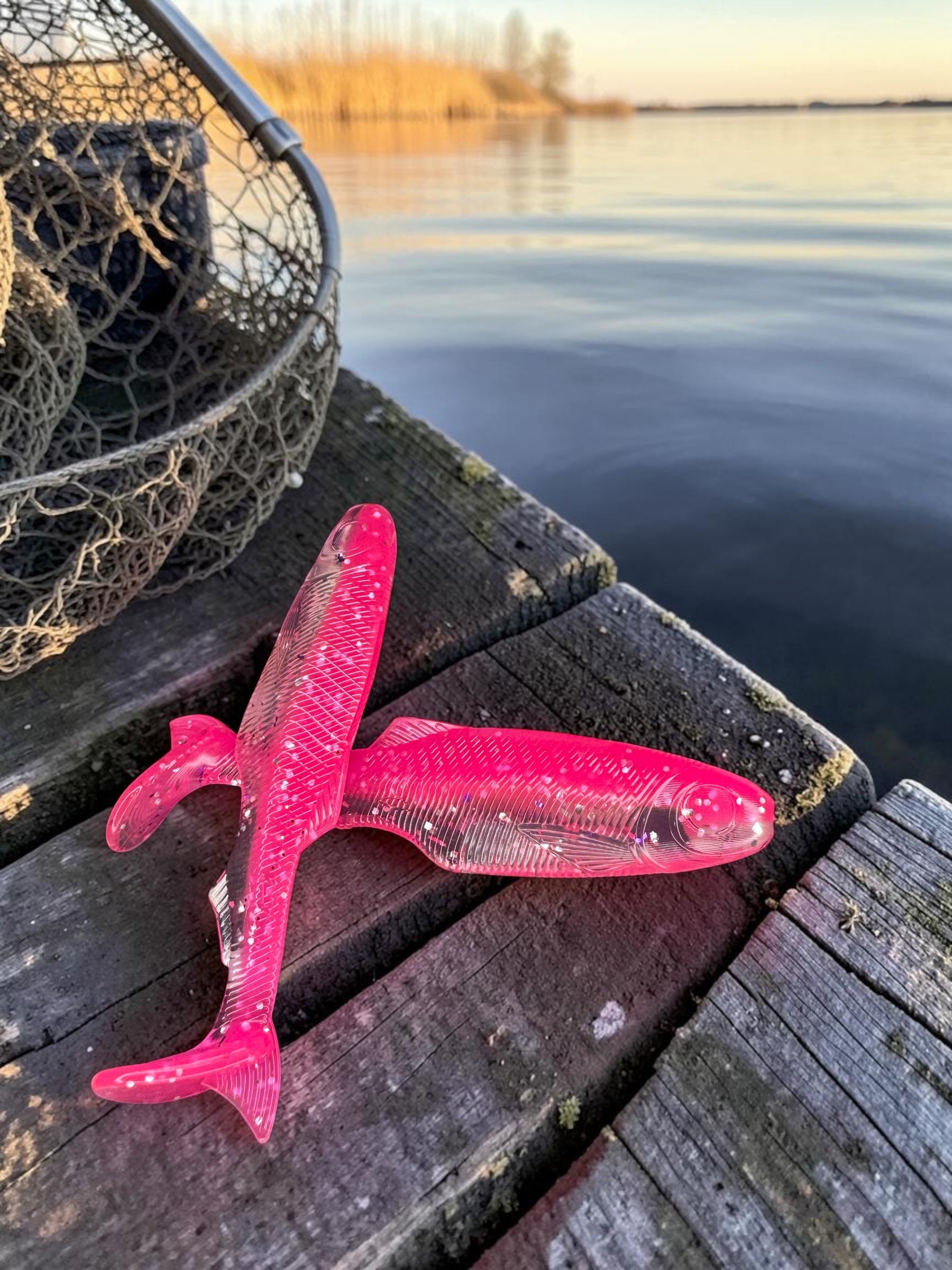 Kicker Shad